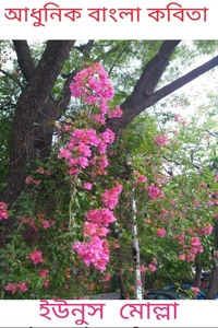 আধুনিক বাংলা কবিতা