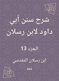 شرح سنن أبي داود لابن رسلان