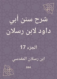 شرح سنن أبي داود لابن رسلان