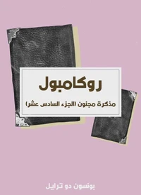 مذكرة مجنون (الجزء السادس عشر)