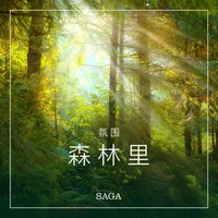 氛围——森林里