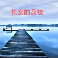 长安的荔枝