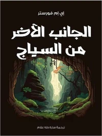 الجانب الآخر من السياج