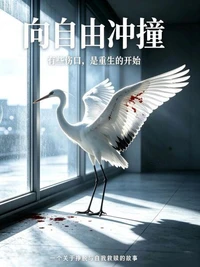 向自由冲撞