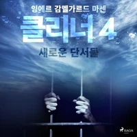 클리너 4: 새로운 단서들