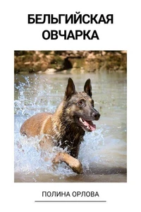 Бельгийская овчарка