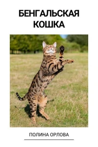 Бенгальская кошка