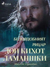Безподобният рицар Дон Кихот Ламаншки
