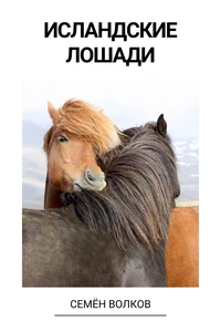 Исландские лошади