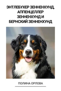Энтлебухер зенненхунд, Аппенцеллер зенненхунд и Бернский зенненхунд