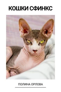 Кошки Сфинкс