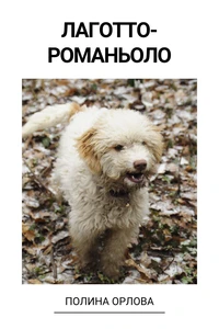 Лаготто-романьоло