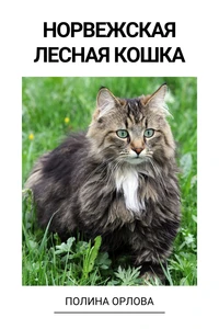 Норвежская лесная кошка