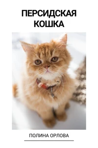 Персидская кошка
