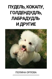 Пудель, кокапу, голдендудль, лабрадудль и другие