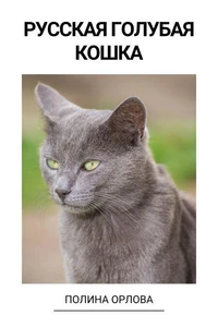 Русская голубая кошка