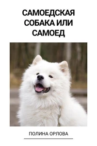 Самоедская собака или самоед
