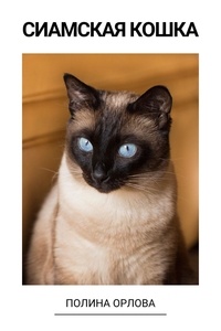  Полина Орлова - Сиамская кошка.