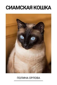 Сиамская кошка