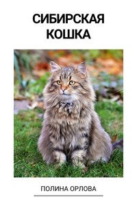  Полина Орлова - Сибирская кошка.