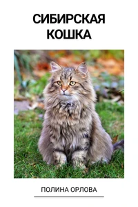 Сибирская кошка