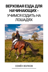 Верховая езда для начинающих –  Учимся ездить на лошадях