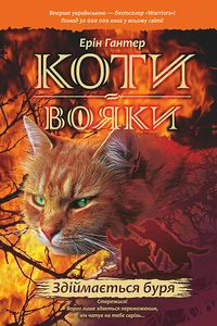 Здіймається буря