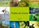 CALVENDO Nature  Pointe de Grave - Faune des marais (Calendrier mural 2020 DIN A4 horizontal). Un petit aperçu de la faune des marais de la Pointe de Grave (Calendrier mensuel, 14 Pages )