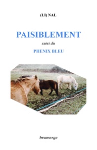  (Li) Nal - Paisiblement - Suivi du Phénix bleu.