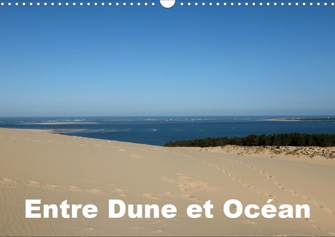 CALVENDO Nature  Entre Dune et Océan (Calendrier mural 2020 DIN A3 horizontal). Entre la majestueuse Dune du Pilat et l'Océan Atlantique (Calendrier mensuel, 14 Pages )
