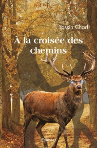 Yassin Charfi - A la croisée des chemins.
