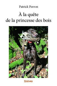 à la quête de la princesse des bois