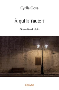 à qui la faute ?