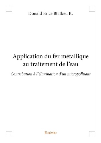 K. donald brice Btatkeu - Application du fer métallique au traitement de l'eau - Contribution à l’élimination d’un micropolluant.