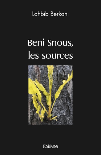 Lahbib Berkani - Beni Snous, les sources.