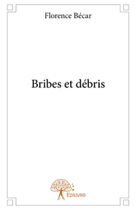 Bribes et débris