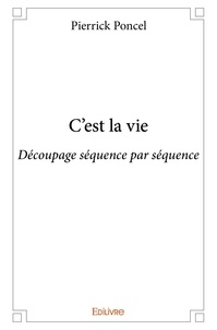 Pierrick Poncel - C'est la vie - Découpage séquence par séquence.