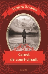 Frederic Bernicot - Carnet de court circuit.