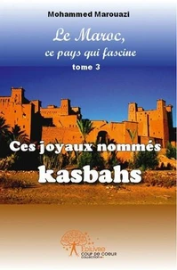 Ces joyaux nommés kasbahs