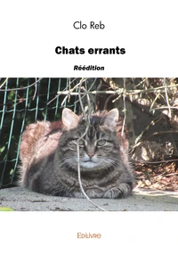Chats errants