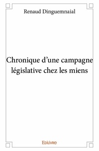 Renaud Dinguemnaial - Chronique d’une campagne législative chez les miens.