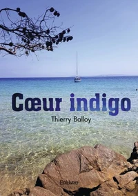 Cœur indigo
