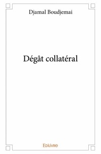 Djamal Boudjemai - Dégât collatéral.