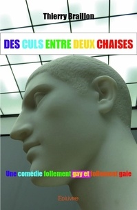 Thierry Braillon - Des culs entre deux chaises - Une comédie follement gay et follement gaie.