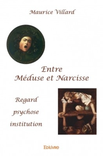 Entre Méduse et Narcisse. Regard, psychose, institution