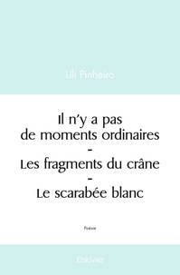 Lili Pinheiro - Il n'y a pas de moments ordinaires ; Les fragments du crâne ; Le scarabée blanc.