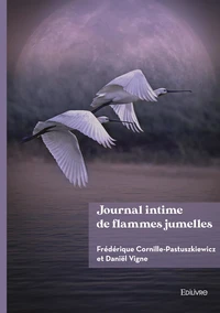 Journal intime de flammes jumelles