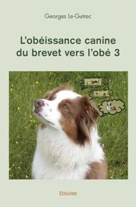 L'obéissance canine du brevet vers l'obé 3