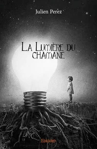 La lumière du chamane