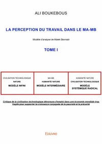 La Perception du travail dans le MA-MB